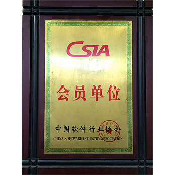 中国软件协会